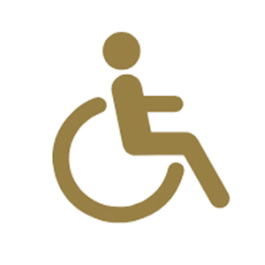 icono inclusivo
